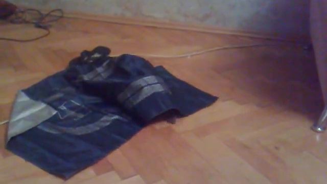 Шотландский Вислоухий котенок