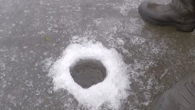 как ловить рыбу на балду? Учимся ловить на балду. Смотрите и пробуйте смотреть онлайн