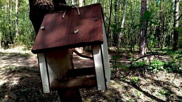 спасибо за чистый парк смотреть онлайн