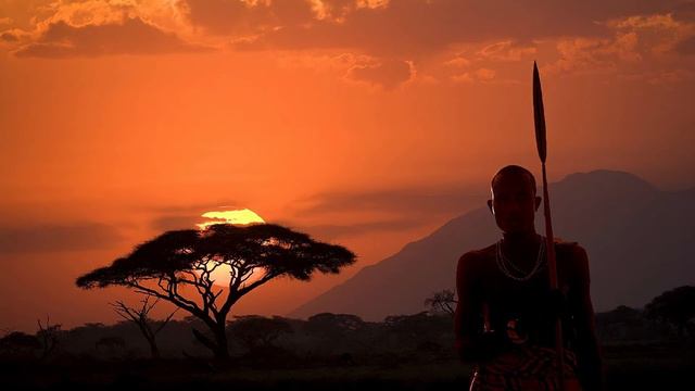 Best Wild Africa Music, African Traditional Music Instrumental Amazing