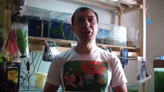 Прически для себя