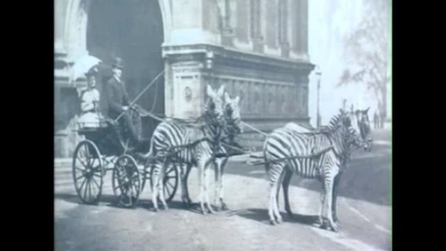 Culture : Lord Rothschild et sa passion pour les puces - Xenopsylla Cheopis смотреть онлайн