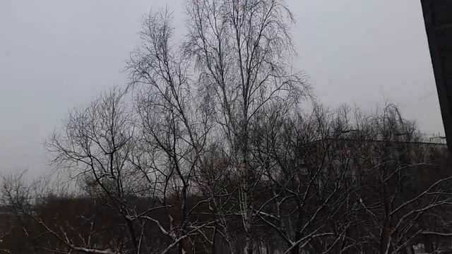 Волшебный прогноз День без осадков. С 2...21 1 18...