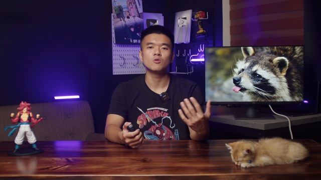Muốn mua màn hình ngon cần biết những gì ? | Học Chơi Đồ смотреть онлайн