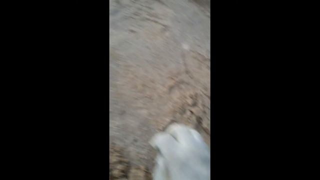 Нужно ли проливать песок? смотреть онлайн