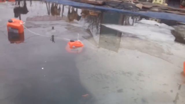 Пруд из бетона с биоплато своими руками. смотреть онлайн