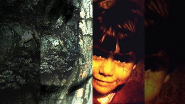 Already Gone смотреть онлайн