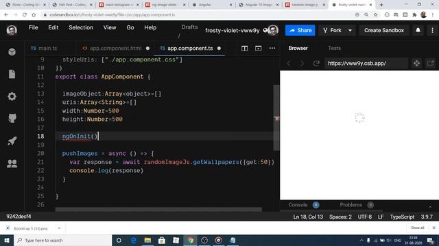 Angular 10 Image Carousel And Video Gallery Lightbox Modal Slider Using Ng-image-slider Library
