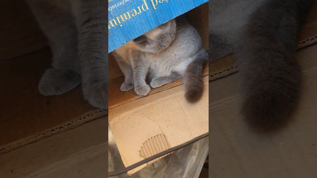 любовь в 