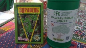 О нашатырном спирте  Подкормка томатов и перцев