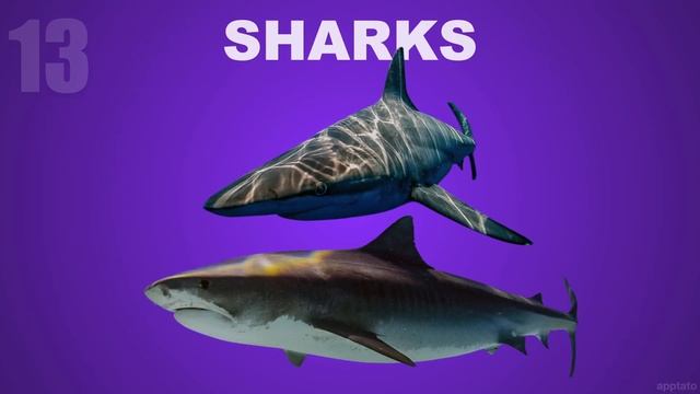 Guess the Animal Quiz #6 | Name all 25 Animals by Shadow Guessing Game | Family Trivia Game Night смотреть онлайн