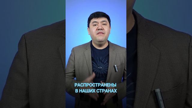 Селекционер DANILO BERNARDINI смотреть онлайн