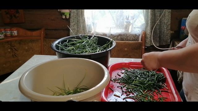 Приправа за зиму из чесночных стрелок. смотреть онлайн