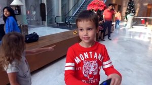 Катя и Макс улетели в Сингапур