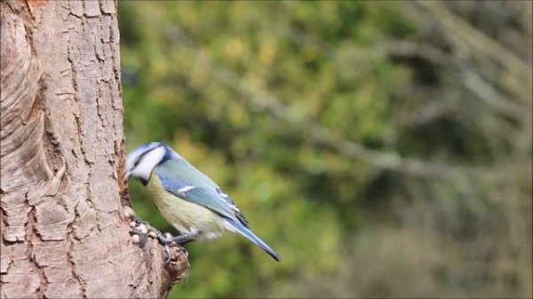 Russian Lounge Music 2 | Русский лаундж 2