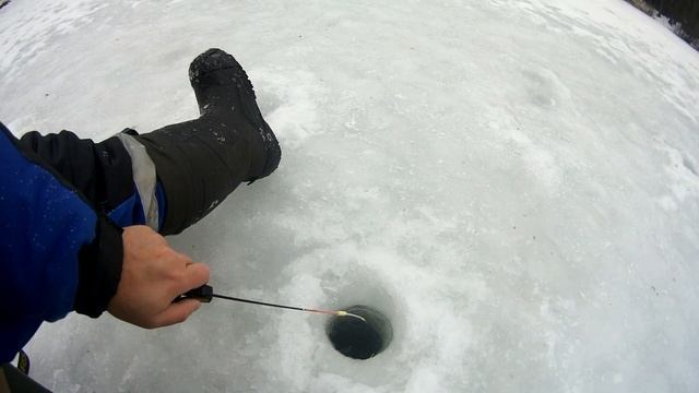 Зимняя рыбалка на окуня, февраль, глухозимье. озеро "Белое". смотреть онлайн