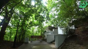 Сочи Терренкур Мацеста. Тропа здоровья. Дельфины!