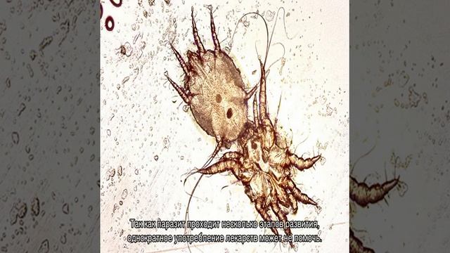 Учебник по Творческому Процессу