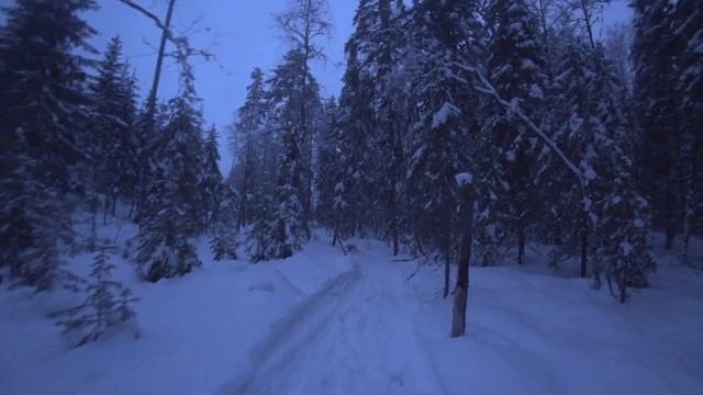 ОХОТА НА ВОЛКА ОДНИМ ДНЁМ. ВЫПУСК №59. ОХОТА С РУЖЬЁМ Bernardelli mega synthetic. смотреть онлайн