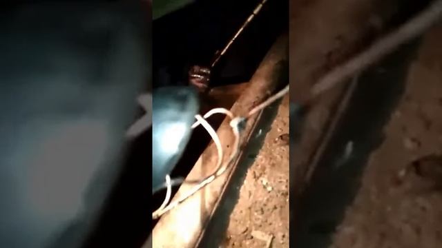 Снимали поддон на Камазе 5511 смотреть онлайн