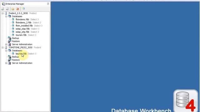 FB TraceManager - Garbage Collection in Firebird смотреть онлайн