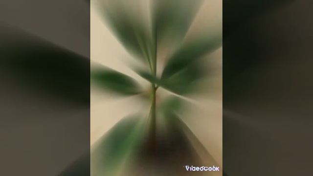 Цветы смотреть онлайн