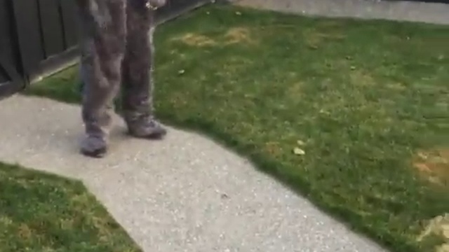 Кто ты? смотреть онлайн