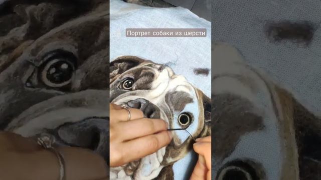 Реалистичный портрет собаки из шерсти смотреть онлайн
