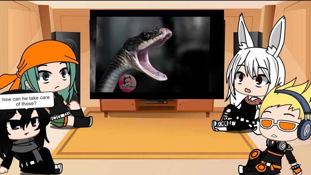 Pro's react to Deku's pets| mha/bnha| смотреть онлайн