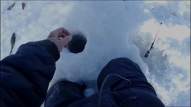 ЛОВЛЯ ОКУНЯ НА БАЛАНСИР! ОКУНЬ НА БЕЗМОТЫЛКУ! БАЛАНСИР НА ОКУНЯ! КАК ЛОВИТЬ НА БАЛАНСИР ЗИМОЙ! смотреть онлайн