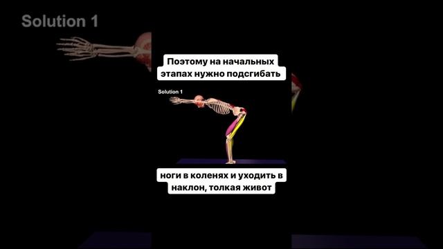 Как не сломать спину, начинающему в йоге, выполняя наклоны #shorts смотреть онлайн