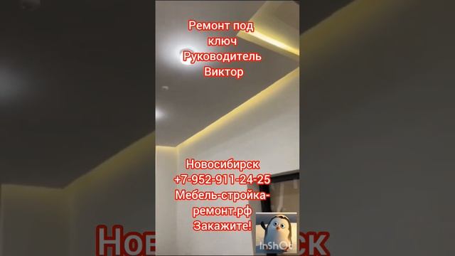 парящие натяжные потолки с теневым профилем в Новосибирске +7-952-911-24-25 натяжной потолок смотреть онлайн