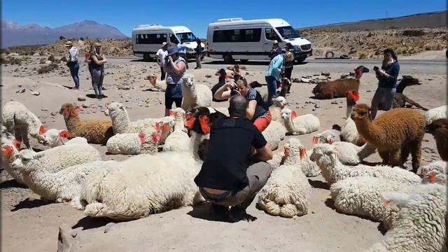 Поездка к каньону Колко 20.09.2018