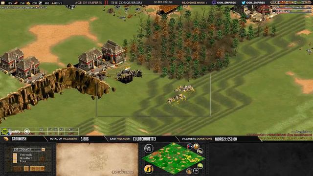 Age of empires II - GAME 2 - WolfSilver vs Njord21 - BATTLE POUR LE TITRE смотреть онлайн