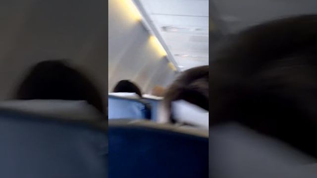 В самолете из Египта смотреть онлайн