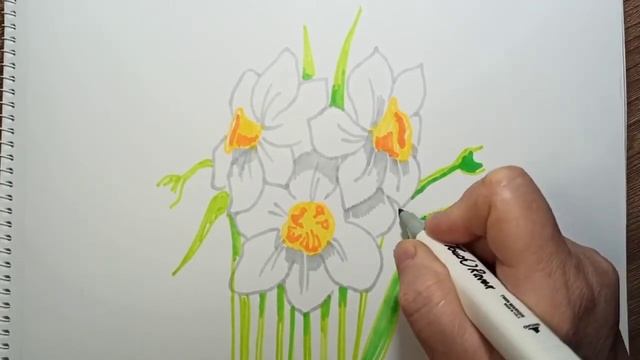 Как нарисовать нарциссы маркером. смотреть онлайн