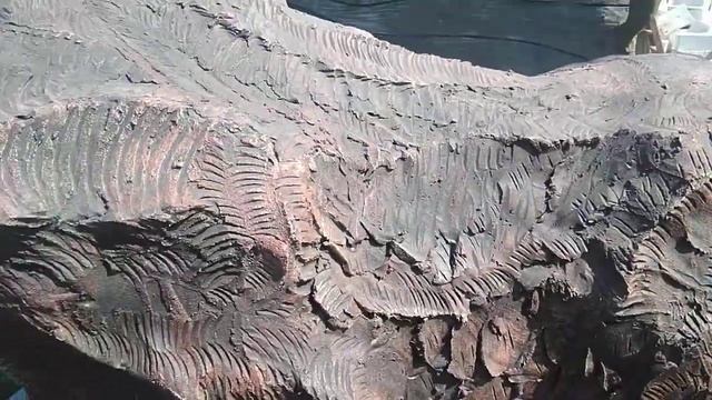 Обзор загрузка 95% парковая скульптура из бетона с места событий смотреть онлайн