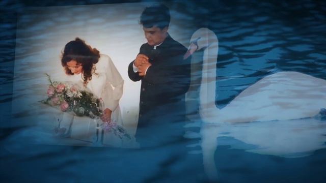 Айгуль Бариева Ялгыз аккош күлләрдә