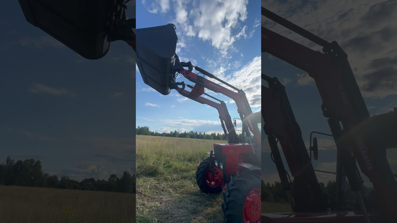 Мы на ферме @countrysideacreshomestead2008 #фермер #сельскоехозяйство #farmer #tractor #shorts смотреть онлайн