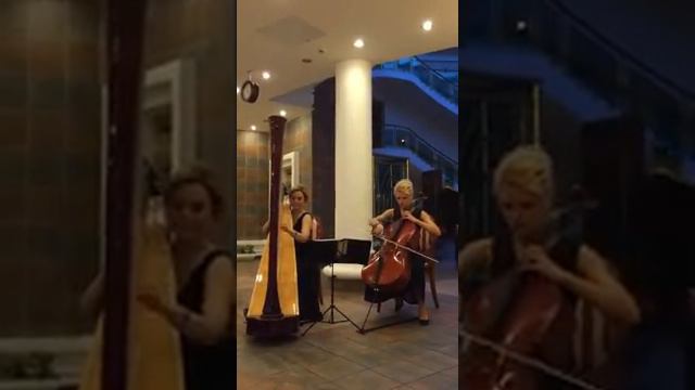 Арфа  и виолончель