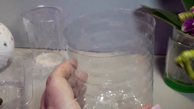 28.08.21 Орхидея Formosa Cranberry детка пересадка смотреть онлайн