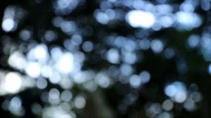 Голгофа - Сёстры Автономовы - Христианская Песня