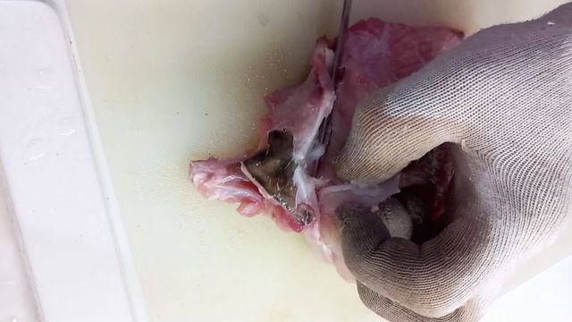 Рыбалка в Сочи. Котлеты из ската смотреть онлайн