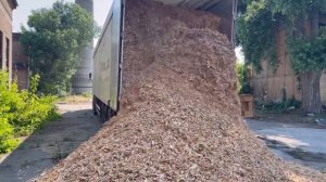 Производство щепы / транспортировка щепы / Закупаем сырье￼