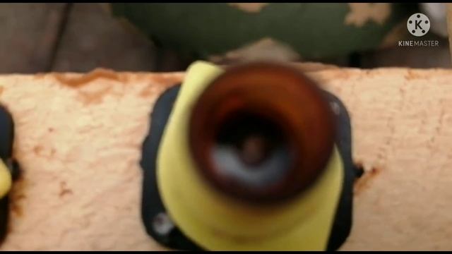 семья воспитательница, прививка и вывод маток. смотреть онлайн