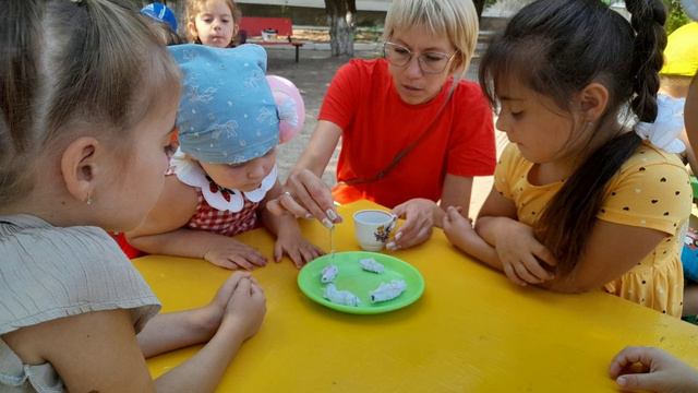 Летнее развлечение Наши интересные дела 2024г