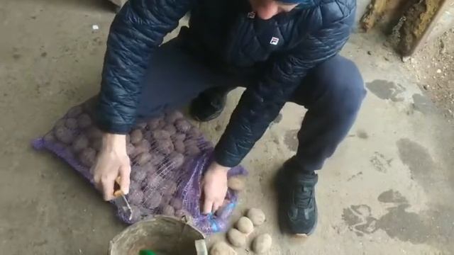Скарб картошка смотреть онлайн
