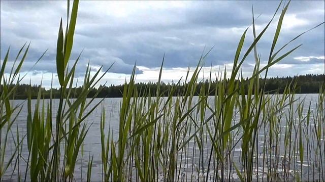 Panasonic HC-V110 Nature Test Footage 1 | Kalix - Sweden смотреть онлайн