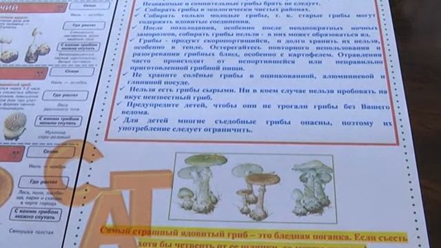 06 10 16 Отравление грибами лого смотреть онлайн