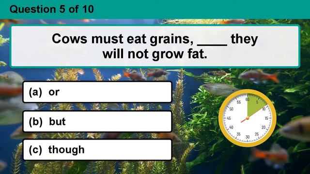 General Grammar Quiz । Grammar quiz । English grammar । Part 33। Brain Edukit смотреть онлайн
